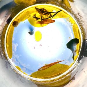 Photography art in a glass with inks, oil, water and leaves showing how to turn the ordinary into the extraordinary